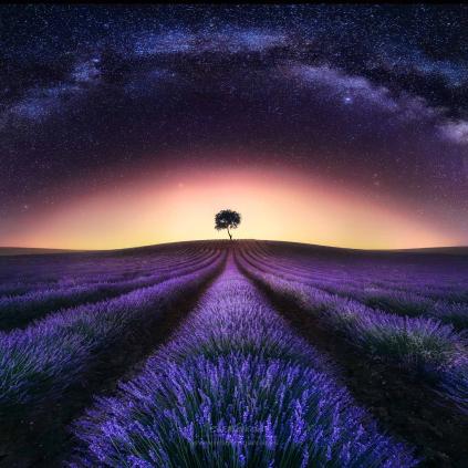 Exposició "Sota un mateix cel" Accedeix a Exposició "Sota un mateix cel"