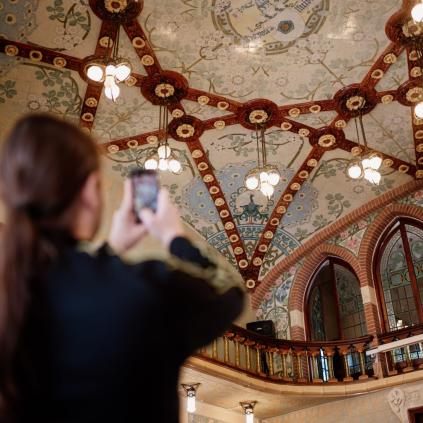 Accedeix a Pavelló de Distingits de l'Institut Pere Mata