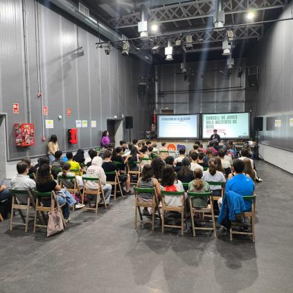 Accedeix a Retorn de les propostes presentades pel Consell de Joves dels Instituts