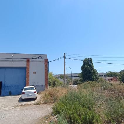 Accedeix a Carrer de les Pitiüses