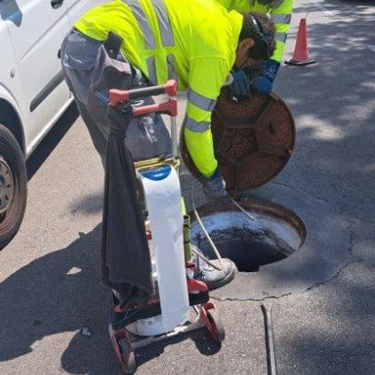Accedeix a Tractament de plagues d'Aigües de Reus