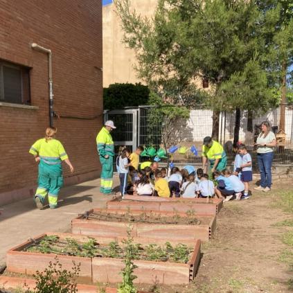 Imatge del programa de manteniment d’horts urbans i escolars Accedeix a Imatge del programa de manteniment d’horts urbans i escolars