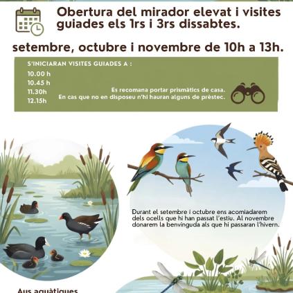 Accedeix a Cartell visites a les Basses del Pedret els dissabtes de tardor