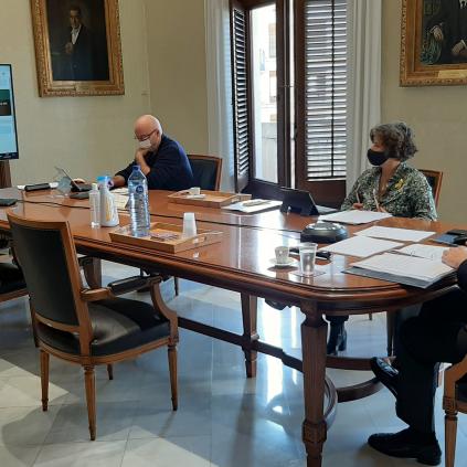 Ple telemàtic Accedeix a Ple telemàtic