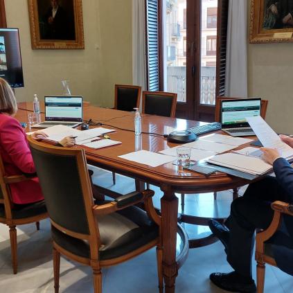 Ple ordinari 21 de gener 2021 Accedeix a Ple ordinari 21 de gener 2021