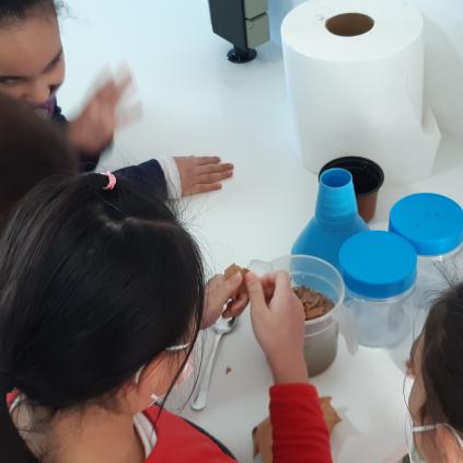 Nens i nenes participant en un taller al laboratori de l'ETAP d'Aigües de Reus Accedeix a Nens i nenes participant en un taller al laboratori de l'ETAP d'Aigües de Reus