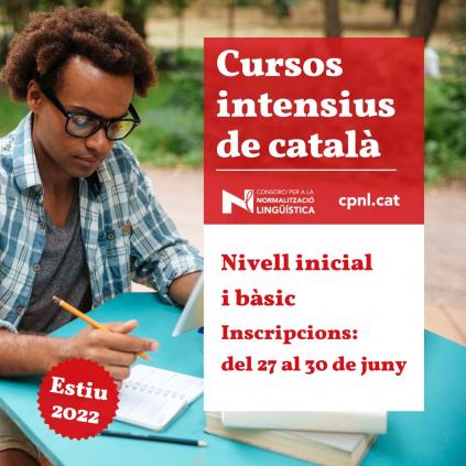 Accedeix a Cursos intensius de català