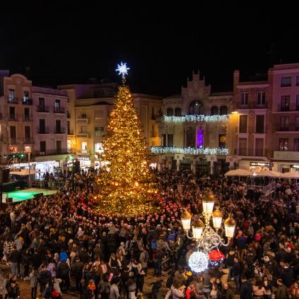 Accedeix a Plaça Mercadal Nadal 2022 arbre encès