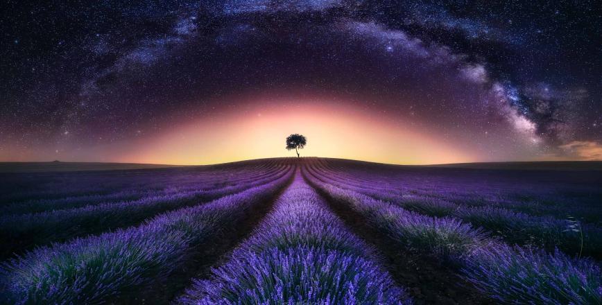 Exposició "Sota un mateix cel" Exposició "Sota un mateix cel"