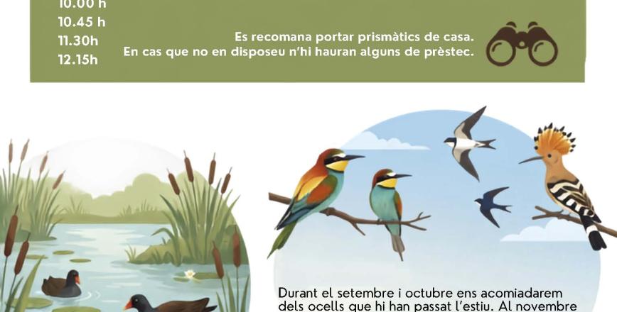 Cartell visites a les Basses del Pedret els dissabtes de tardor
