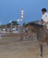 Inauguració de la Fira de Sant Jaume 2012