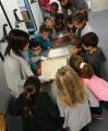 Visita a la sala dels compactes