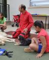 Imatge del treball amb gossos al Casal Adaptat