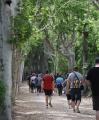 Foto de la caminada