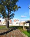 Foto del parc de la zona de Mas Mainer