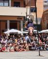 Trapezi 2025 espectacles