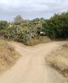 Encreuament del camí de la Selva amb la riera de l'Abeurada