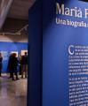 Exposició 