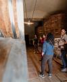 Presentació de l'adhesió de Reus a l'itinerari cultural europeu Iter Vitis