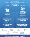 Finals bàsquet català