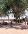 Imatge virtual del projecte de naturalització del pati de l'escola Eduard Toda