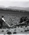 Imatge del Fons Granja Roca – Carme Solé cedida al CIMIR
