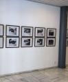 Exposició 