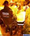 Operatiu conjunt Guàrdia Urbana i Mossos al Pinar