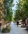 Avantprojecte reurbanització passeig Mata, Carrer Ample, Plaça del Víctor i plaça del Pintor Fortuny