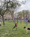 Imatge virtual futur parc cal·listènia Mas Iglesias
