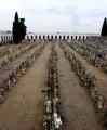 Candidatura millor cementiri: fosa històrica del Cementiri de Reus