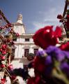 Roses de Reus