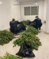 Comís marihuana barri Gaudí