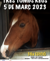 Cartell Tres Tombs 2023