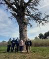 Acte d'inauguració d'una placa al Pi de Bofarull