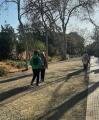 Gent Gran activitats Grantivisme