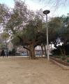 Parc Juli Garola