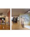 Projecte de reforma del Museu d'Art i Història