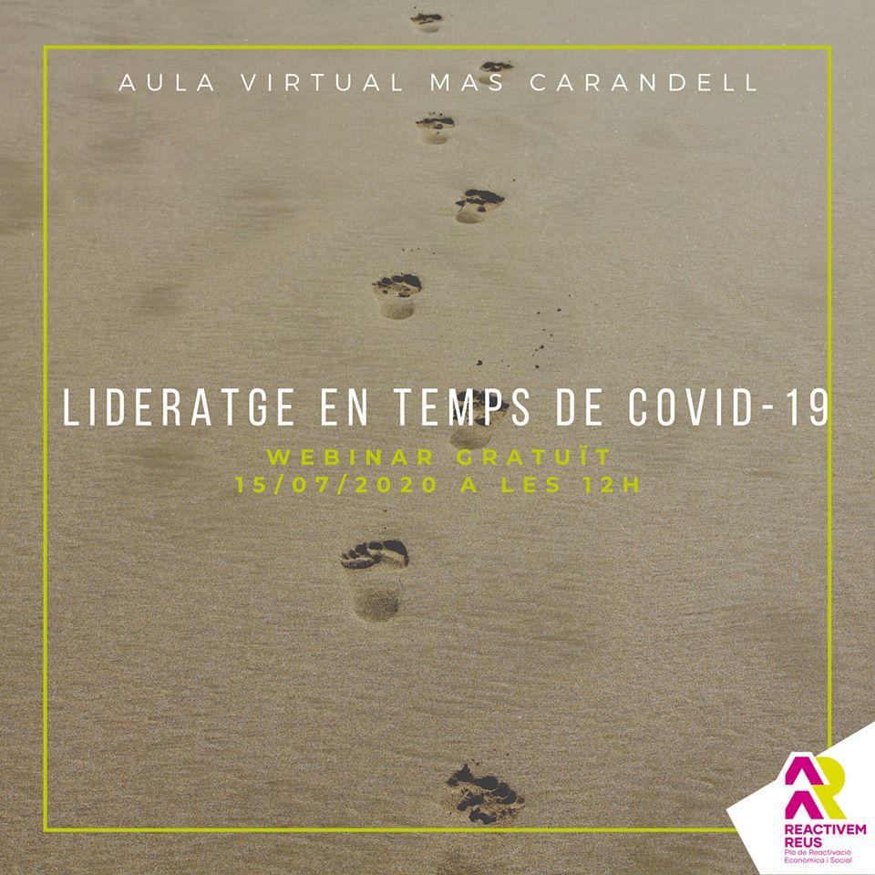 Webinar: Lideratge en temps de Covid-19