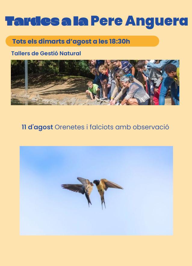Tallers Gestió natural