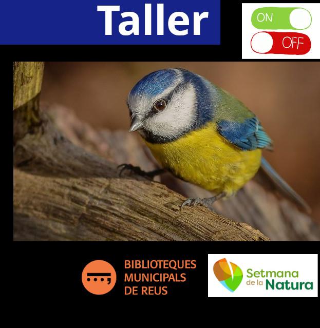 Taller «Ocells insectívors : els millors aliats com a insecticides naturals»