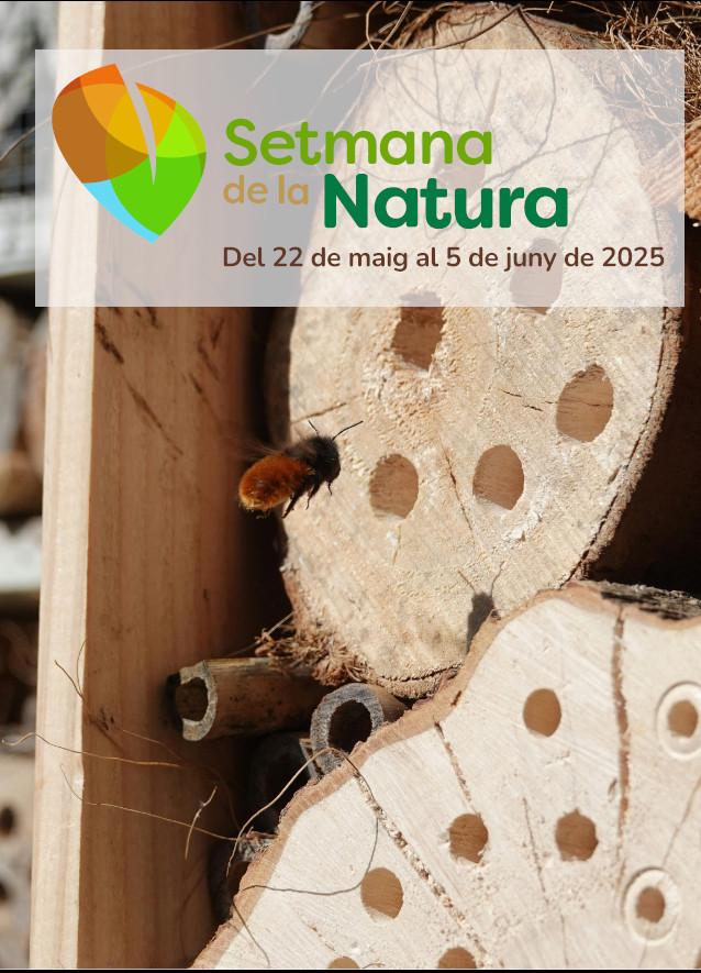 RenaturReus. Taller d'hotels d'insectesE
