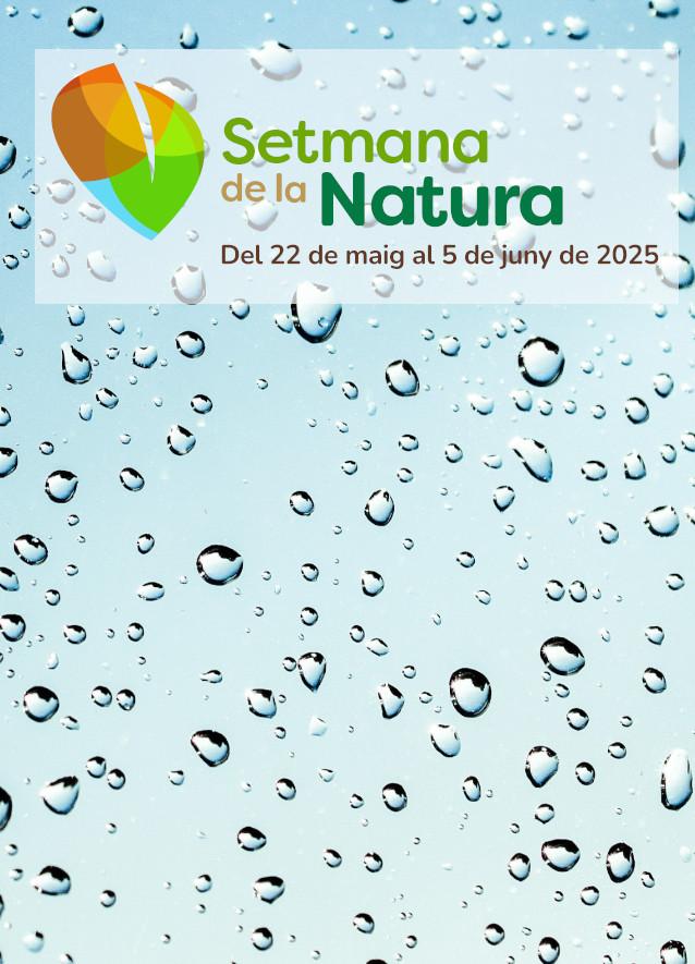 RENATUReus. Taller: L'aigua i els sistemes urbans de drenatge sostenibleE