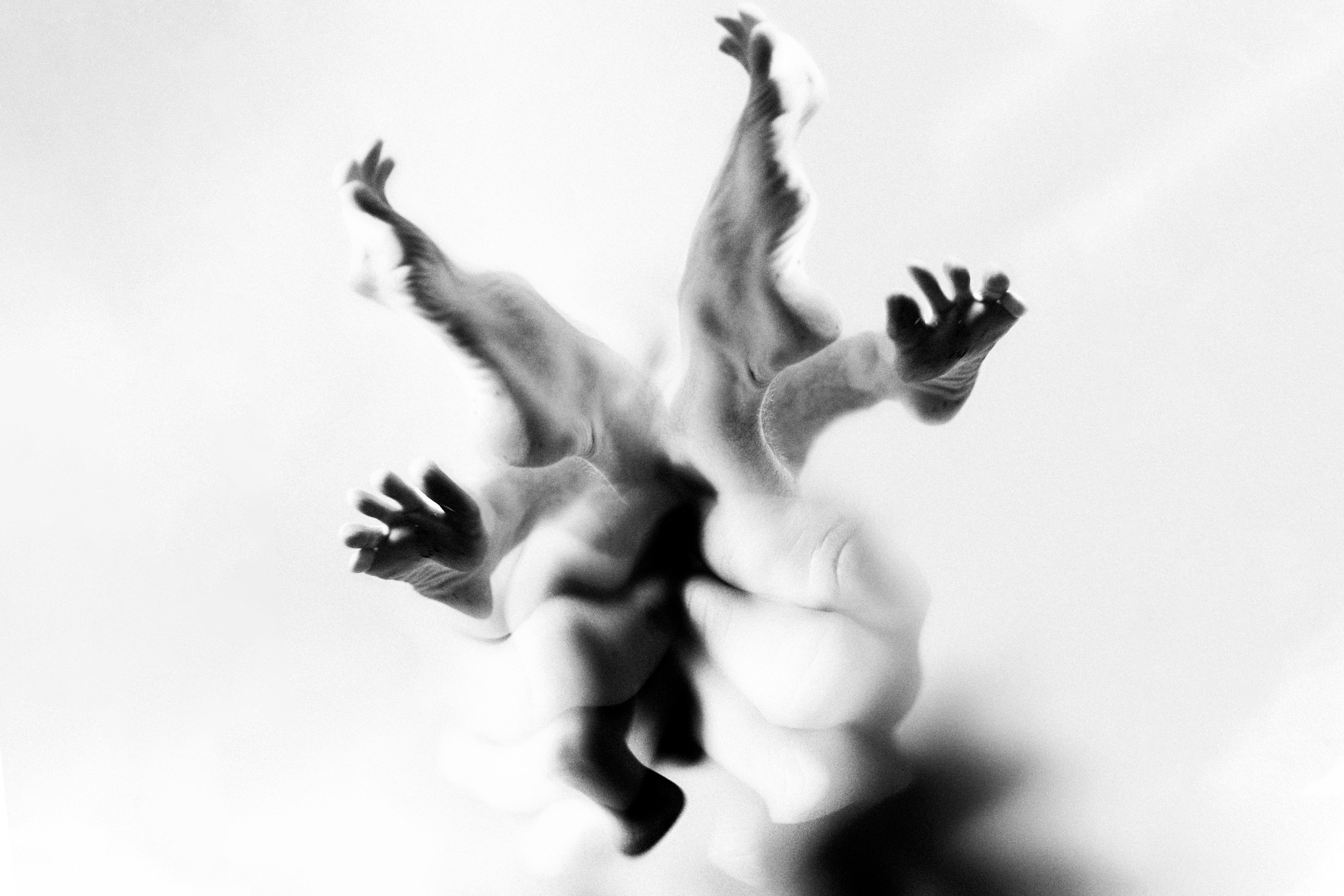 COS 2025 · Anünad