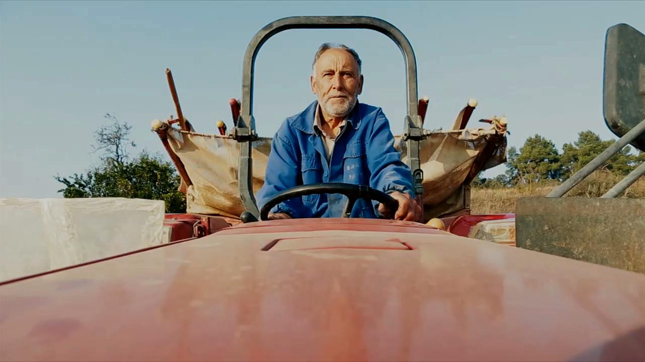 Memorimage 2015: Del Carro al Twitter