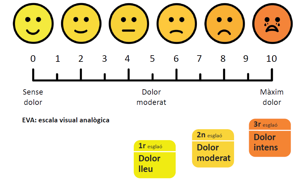 Què cal saber del dolor?