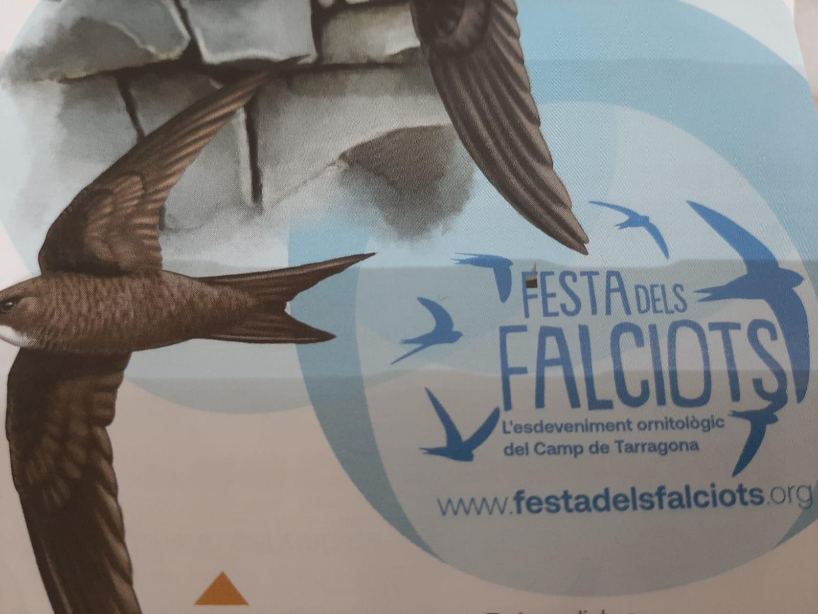 Sortida d'observació d'ocells