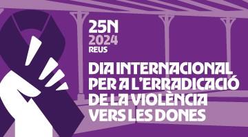 Acte institucional del 25N