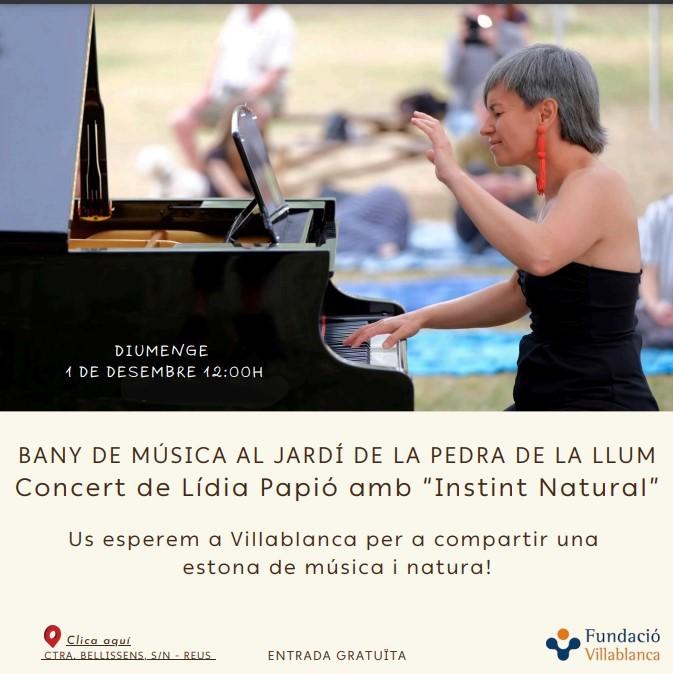 Concert