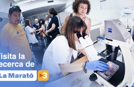 Visita la Recerca de la Marató.